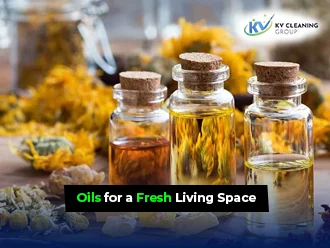 Best Essential Oils for a Fresh Living Space