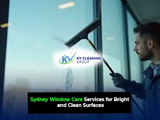 Window Cleaning Services